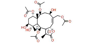 Briacavatolide B